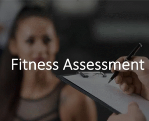 Fitness Assessment